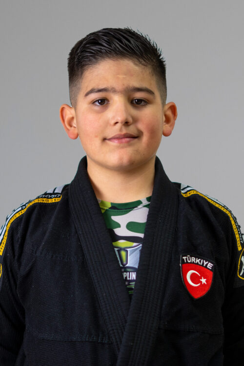 Alpi